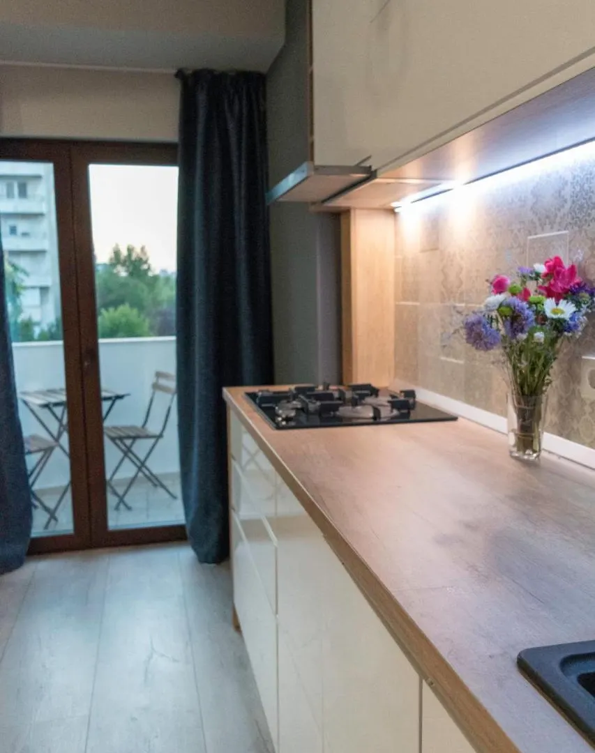 Zebra'S House Apartment Bucharest